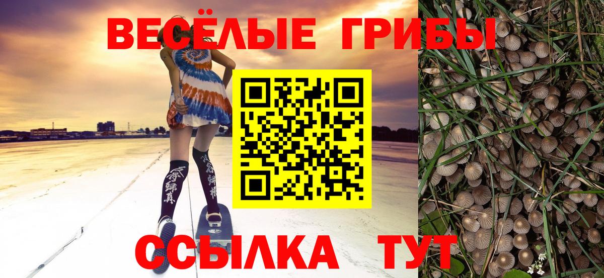 Галлюциногенные грибы мицелий  Галлюциногенные грибы Magic Shrooms  Вход с VPN  Рубцовск 