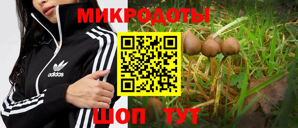 Псилоцибиновые грибы ЛСД Рубцовск